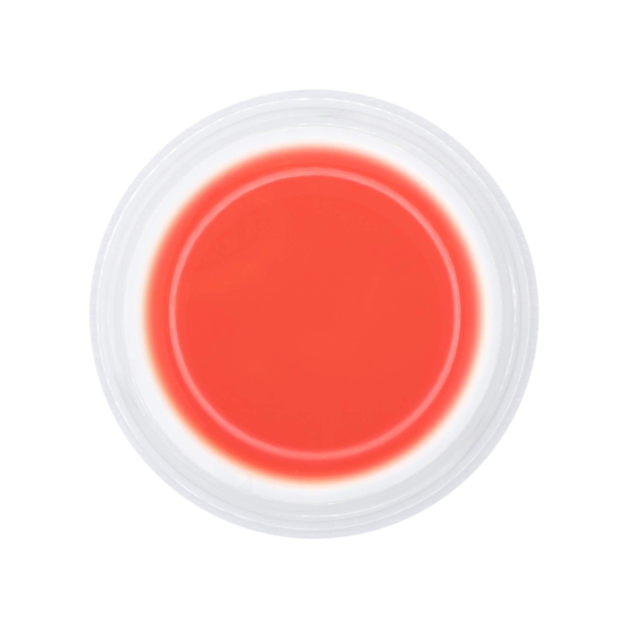 Nails and Beauty Factory UV Color Gel Uni Farbgel Sunburn 5 ml jar