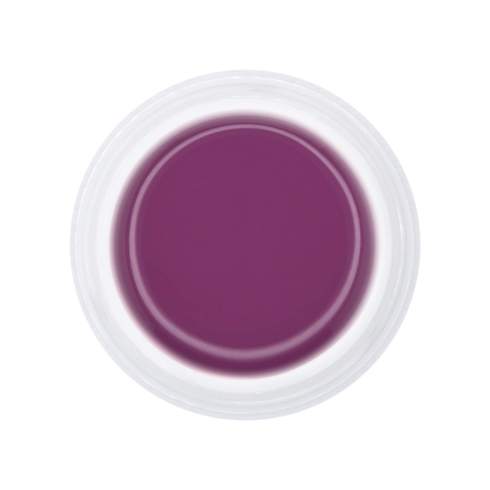 Nails and Beauty Factory UV Color Gel Uni Farbgel Sweet Blackberry 5 ml jar