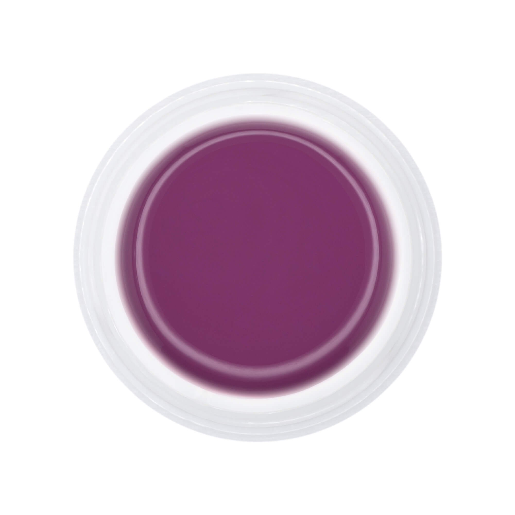 Nails and Beauty Factory UV Color Gel Uni Farbgel Sweet Blackberry 5 ml jar